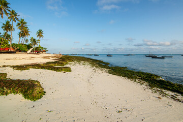 Wall Mural - Nungwi has perhaps the most picture perfect beaches in Zanzibar