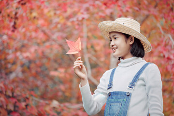 Wall Mural - Portrait beautiful cute asian teenage girl with hat in autumn park with maple leaves in hand,