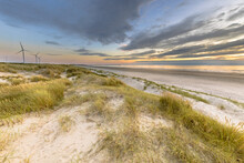 Landscape View Of Sand Dune On The North Sea Coast