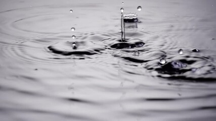 slow motion shot of rain falling into a puddle.