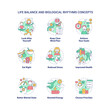 Life balance and biological rhythms concept icons set. Healthcare idea thin line color illustrations. Isolated outline drawings. Editable stroke. Roboto-Medium, Myriad Pro-Bold fonts used