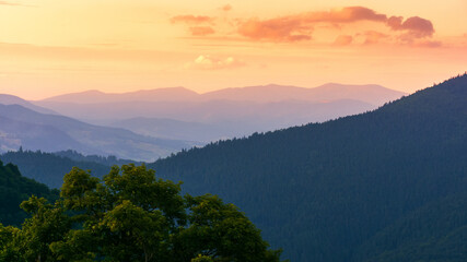 Wall Mural - nature environment on summer sunset. beautiful mountain landscape with forested hills. clouds above 