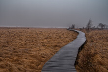A Boardwalk Leads Through The Moor Landscape Of The Nature Reserve "High Fens" In Belgium