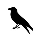 Fototapeta Młodzieżowe - Black silhouette of black crow isolated on white background
