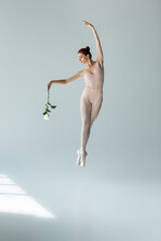 Full Length Of Elegant Ballerina In Bodysuit Holding Rose And Levitating With Raised Hand On Grey