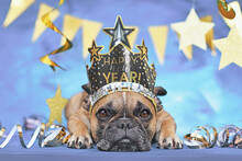 New Year Party French Bulldog Dog Wearing Crown With Text 'Happy New Year' Between Golden Streamers On Blue Background