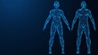 © Ilya - Human anatomy. The physical body of a woman and a man. Polygonal design of thin lines and dots. Blue background.