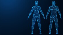 Human Anatomy. The Physical Body Of A Woman And A Man. Polygonal Design Of Thin Lines And Dots. Blue Background.