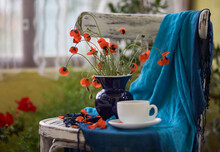 A Little Red Poppies Bouquet In Blue Vase On Vintage Chair. Poppies And Cup Of Coffee.