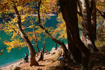 Sticker - beautiful lake in autumn. colorful leaves