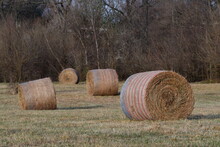 Hay Bales In A Farm Field