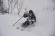 Skier in deep powder snow Hakuba Japan