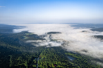 Sticker - Aerial view of misty green forests