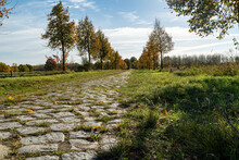 Stony Path In The Field With Autumn Trees Against A Cloudy Sky