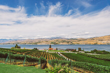 Beautiful View Of The Winery Near The Lake Chelan In Washington
