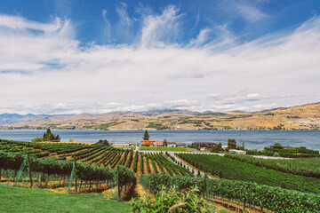 Poster - Beautiful view of the winery near the lake Chelan in Washington