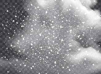 Wall Mural - Vector snowfall isolated. Winter background. Snow overlay illustration. Snowflakes and ice.