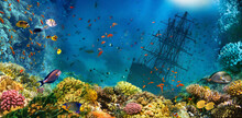A Sunken Shipwreck In Sea. Underwater World. Coral Fishes Of Red Sea. Egypt