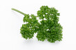 Bio parsley leaf on white background.