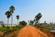 Dirt Road Surrounded By Green Trees Under A Blue Sky