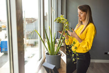 A Happy Young Adult Woman Enjoys Time At Her Home, The House Interior Well Designed And Decorated With An Assortment Of Interesting Plants. Lovely Housewife With Flower In Pot
