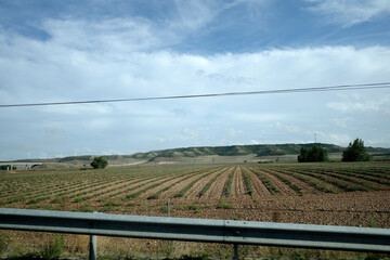 Sticker - vineyard in the country