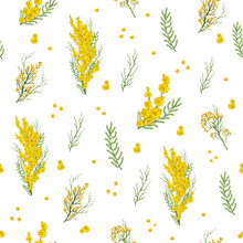 Realistic Seamless Pattern With Yellow Mimosa Flower, Grass.  A Hand-drawn Botanical Pattern In A Minimalist Style. Spring Art Wallpaper For Print, Paper. Vector Art  Illustration.
