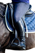 A rider's foot on black horse closeup isolated on white background. A woman's booted foot standing in a black stirrup of horse saddle isolated on white.