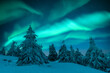 © Ivan Kmit - Aurora borealis. Northern lights in winter forest. Sky with polar lights and stars. Night winter landscape with aurora and pine tree forest. Travel concept