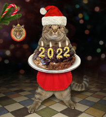 Wall Mural - A beige cat in a Santa Claus hat holds a chocolate 2022 Christmas cake with candles at the party.