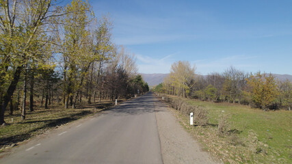 Wild Road near to the forest