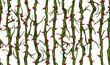 Hand drawn vector seamless pattern of vertical briar patch with stems and thorns.
