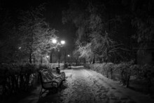 Winter Path At Night In A Snow-covered Park Among Benches, Trees And Lanterns