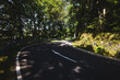 a country road on a sunny afternoon with light backlight with light and shadow play of the trees on the asphalt