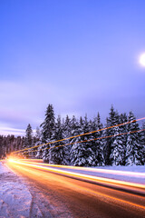 Wall Mural - Light Trials Blur in Winter Snowy Forest at Night