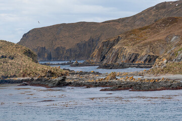 Sticker - Southern Ocean, South Georgia, Ocean Harbor. View of the terrain around the opening to Ocean Harbor.