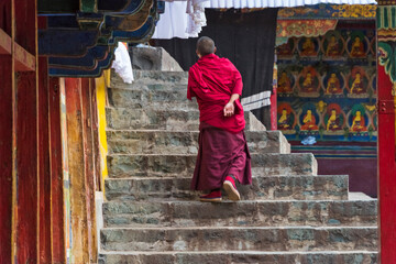 Sticker - Monk in Tashi Lhunpo Monastery, Shigatse, Tibet, China