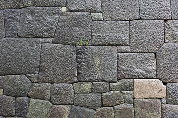 Canvas Print - Stone wall of the Royal Palace, Tokyo, Japan