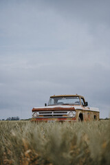 Poster - Vertical shot of a rusty vintage car truck parked in a meadow under a cloudy sky in the countryside