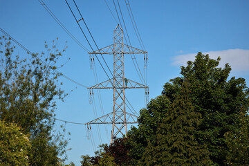 Poster - Transmission tower behind the trees