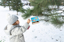 Child Girl Feeding Birds In Winter. Bird Feeder In Snowy Tree, Helping Birds During Cold Season, Teaching Kids To Love And Protect Nature