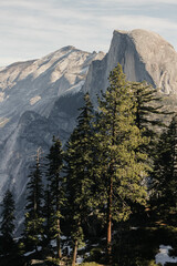 Poster - Vertical shot of rocky mountains and conifer trees under a clear sky in Yosemite National Park, USA