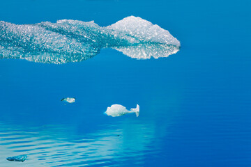 Canvas Print - Floating ice in Jokulsarlon Glacial Lagoon, Iceland