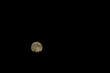 Beautiful shot of a full dark moon in a black sky