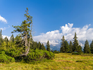 Canvas Print - Canton di Ritort in the Presanella mountain range, view towards Brenta Dolomites, UNESCO World Heritage Site. Italy, Trentino, Val Rendena