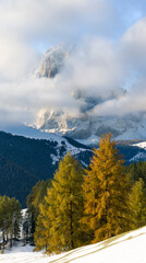 Poster - Mount Langkofel, Sassolungo, in the dolomites of South Tyrol, Alto Adige seen from Groden Valley, Val Gardena. The dolomites are listed as UNESCO World Heritage Site. Central Europe, Italy.