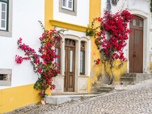 Portugal, Obidos. Dark Pink Bougainvillea Vine Growing Along Side The Entrance Of A Home In The Walled Town Of Obidos.