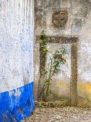 Poster - Portugal, Obidos. Red rose growing in a corner of street in Obidos.