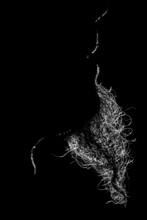 Silhouette Of A Person In The Backlight With A Goatee Beard