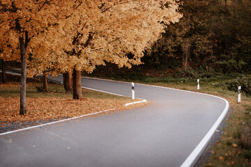 Canvas Print - Closeup shot of a curvy road in the countryside on an autumn day